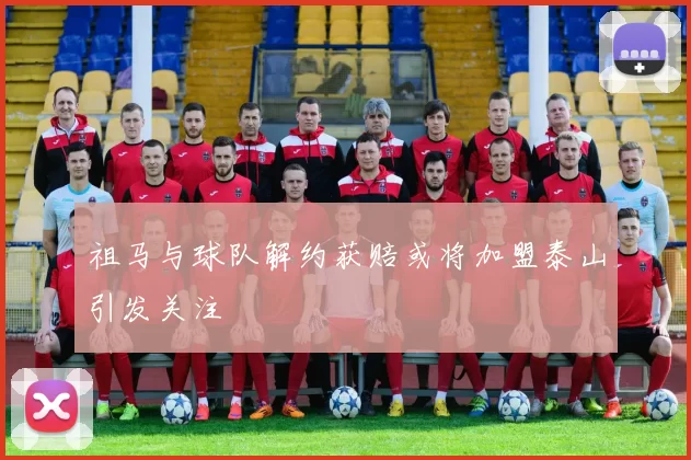 祖马与球队解约获赔或将加盟泰山引发关注